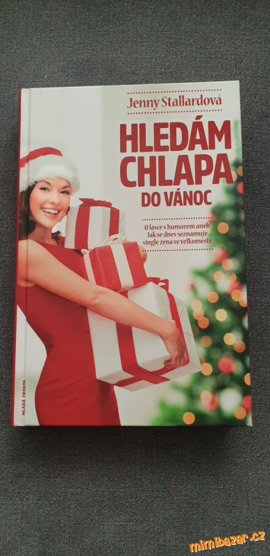 Obrázek k inzerátu: Hledám chlapa do Vánoc