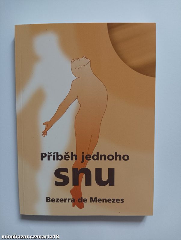 Bezerra de Menezes Příběh jednoho snu