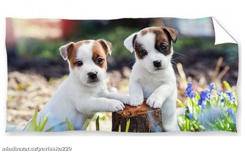 Osuška Bráškové Jack Russell Teriér 70x140 cm