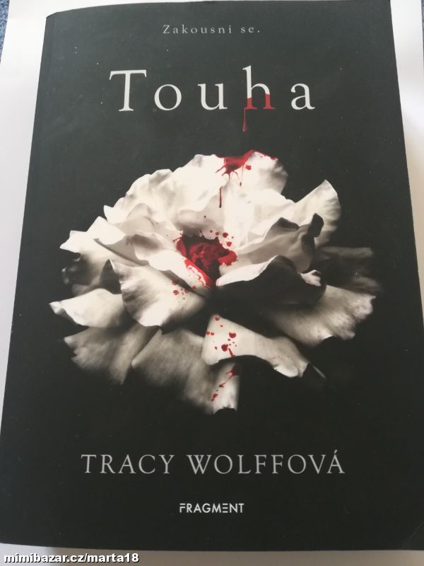 Tracy Wolffová Touha