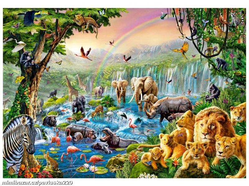 Puzzle Castorland 500 dílků - Jungle s vodou