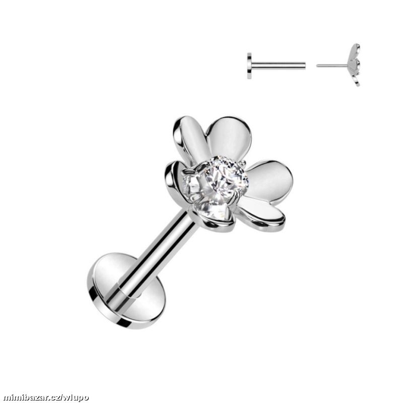 Piercing do ucha, brady kytička chirurgická ocel