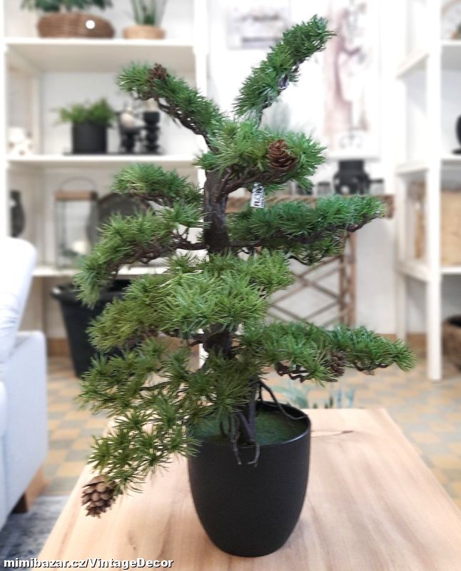 Bonsaj 68 cm...SKLADEM