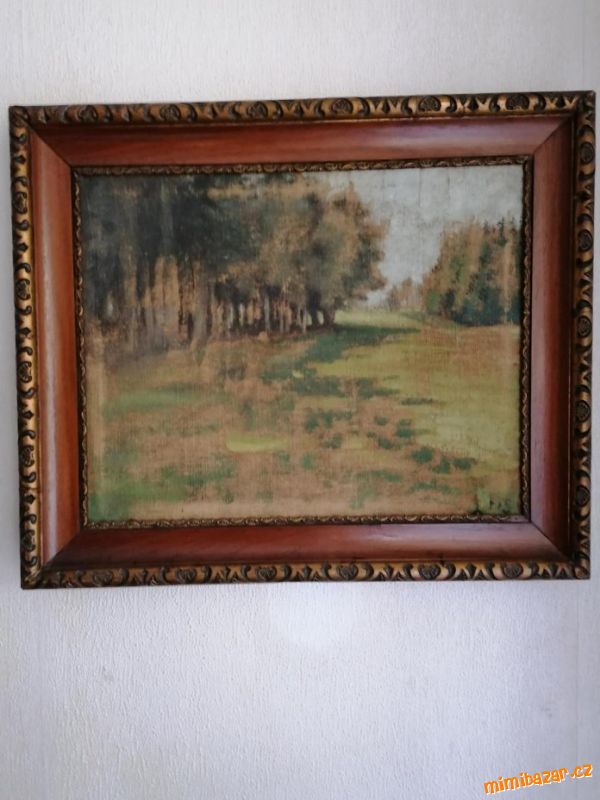 RETRO Vintage obraz krajinky - krásný rám