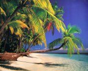 !!!! POŠTOVNÉ ZDARMA !!!!