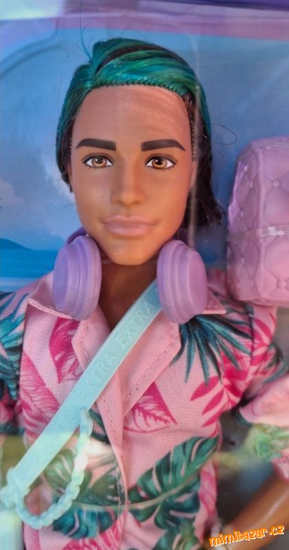 Panenka Barbie Ken Extra Fly