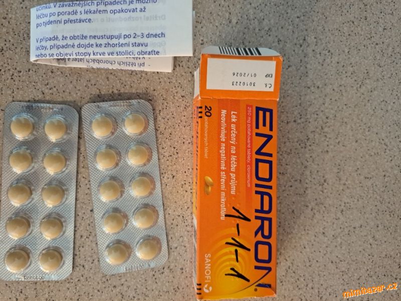 Na cestování E ndiaron