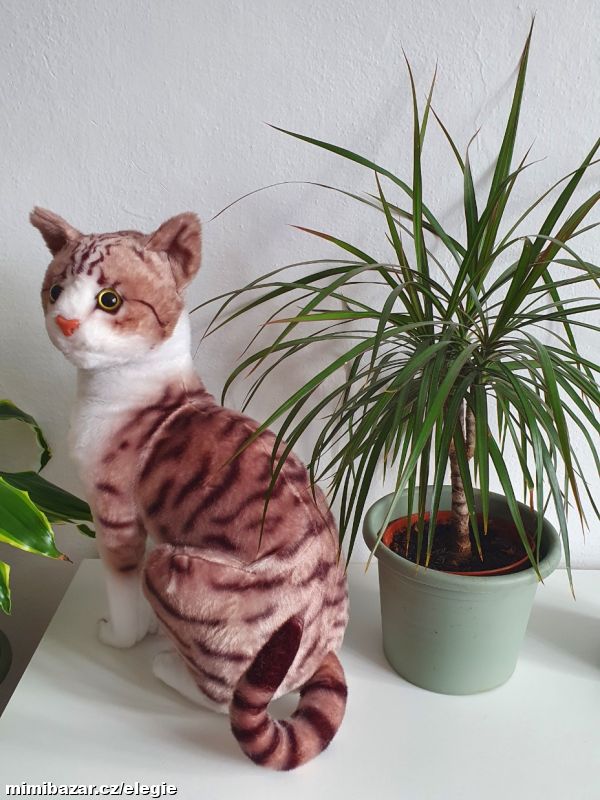 Plyšová kočka - jako opravdová