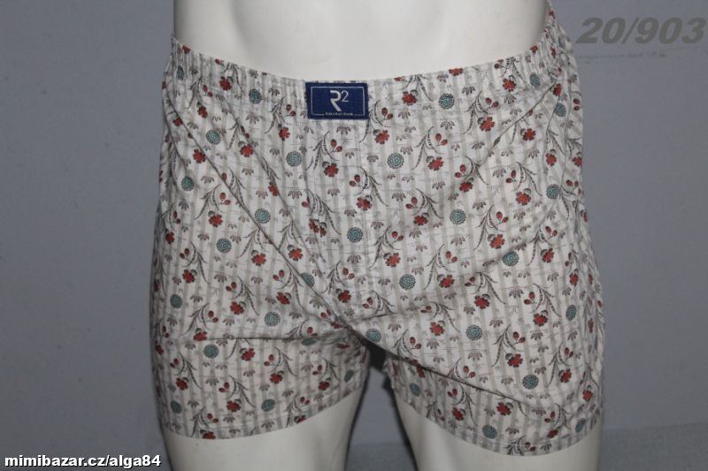 PÁNSKÉ SPODNÍ PRÁDLO -20/903