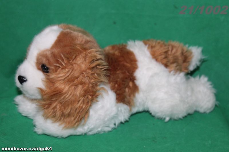 PEJSEK KAVALÍR-21/1002