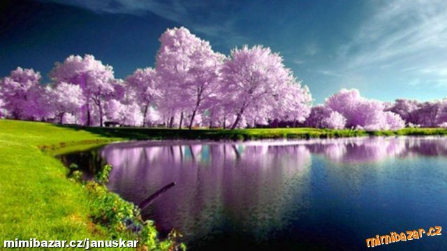 !!!! POŠTOVNÉ ZDARMA !!!!