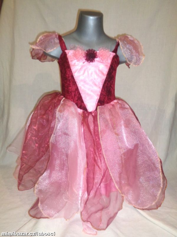 Karneval - Šípková Růženka