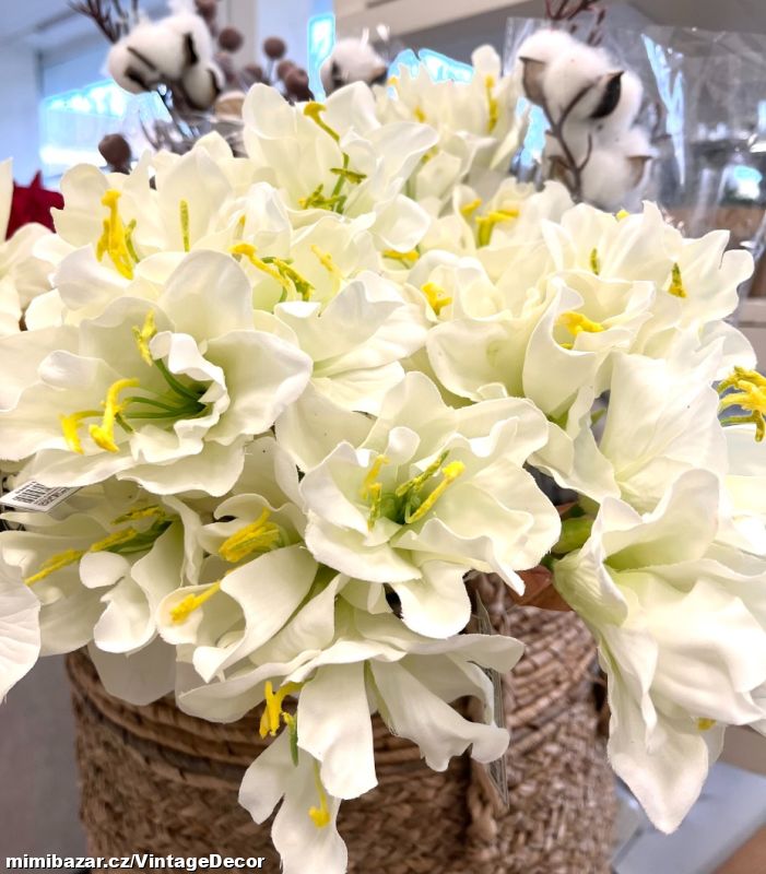 Amaryllis bílý 54 cm...SKLADEM