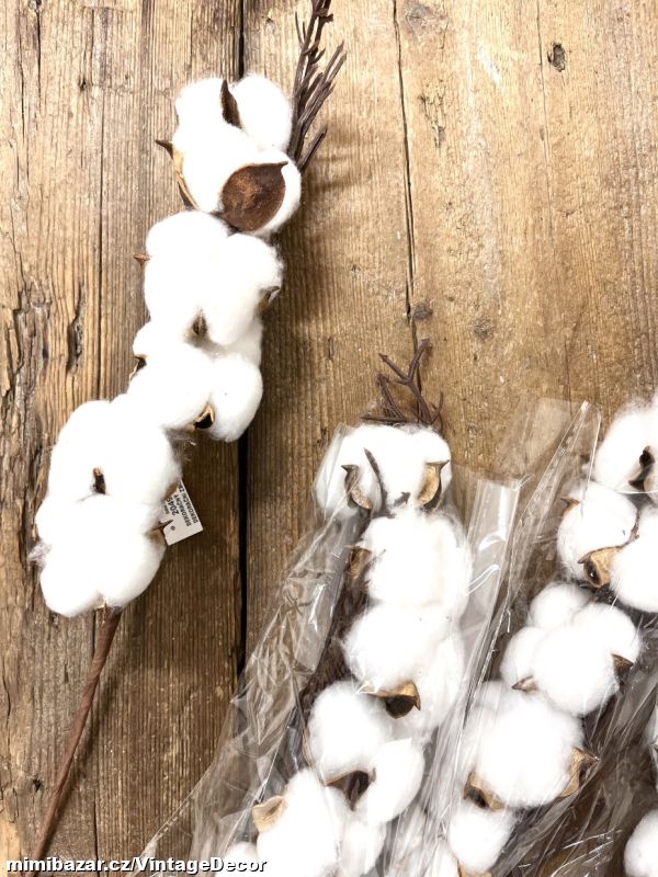 Bavlník 48 cm...SKLADEM