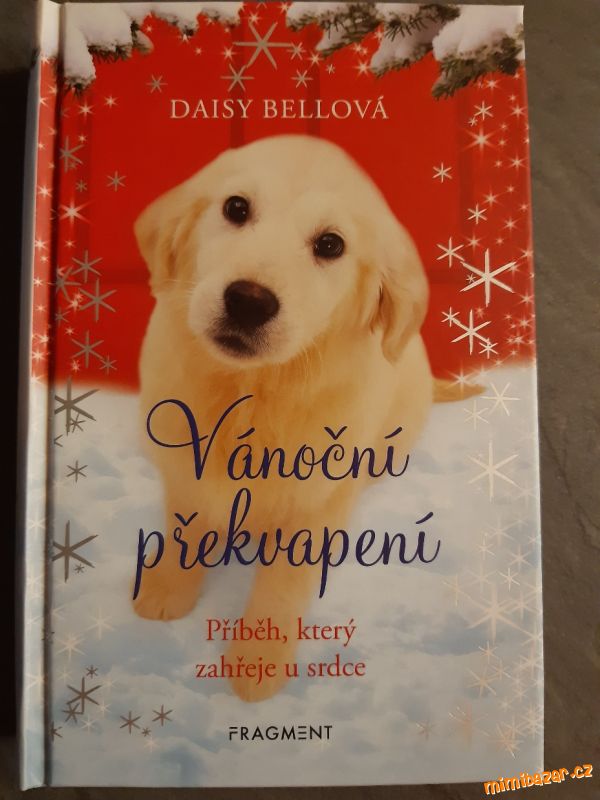 Vánoční překvapení TOP STAV