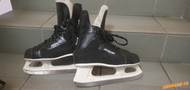 Zimní lední brusle