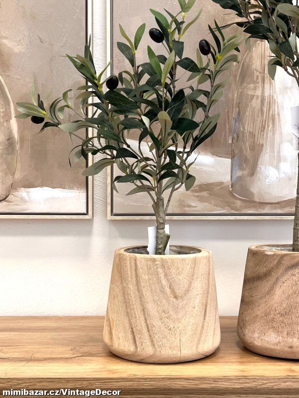 Olivovník umělý cca 50 cm...SKLADEM