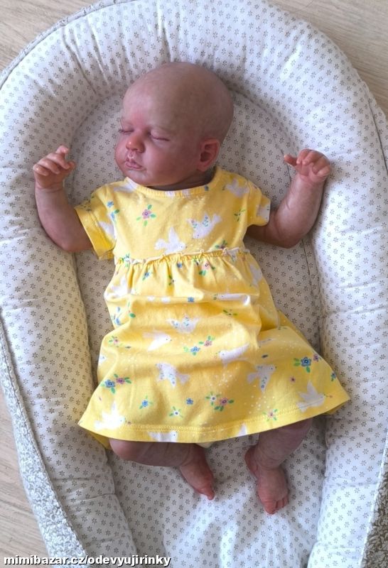 Ptáčkové šatičky