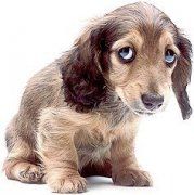 !!!! POŠTOVNÉ ZDARMA !!!!