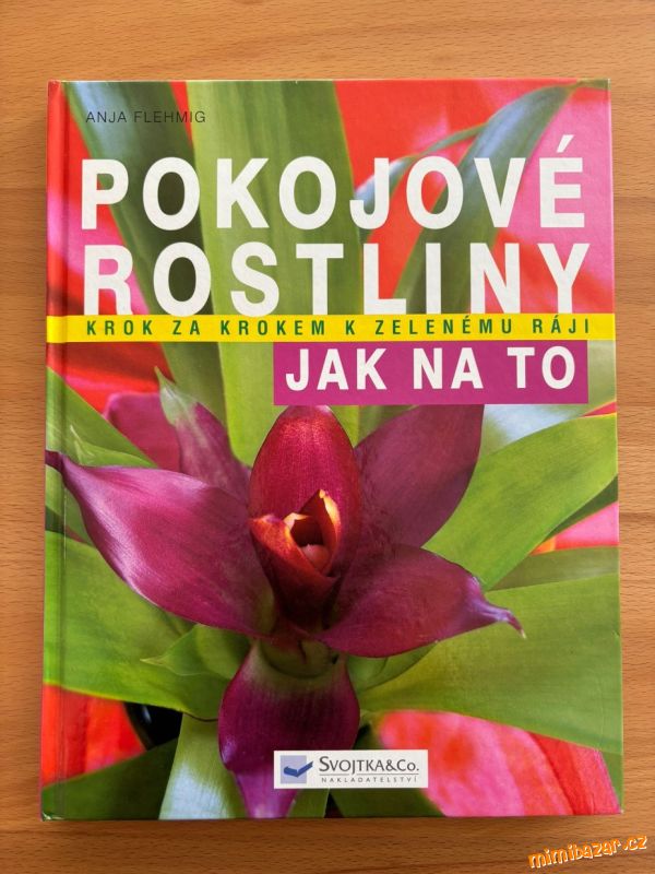 Pokojové rostliny krok za krokem - jak na to