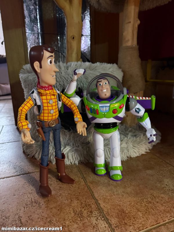Buzz Rakeťák a Sheriff Woody Toy Story