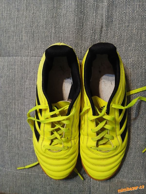 Sálové kopačky Adidas Copa