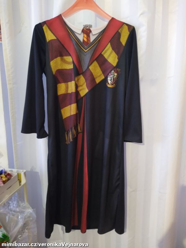 Kostým Harry Potter