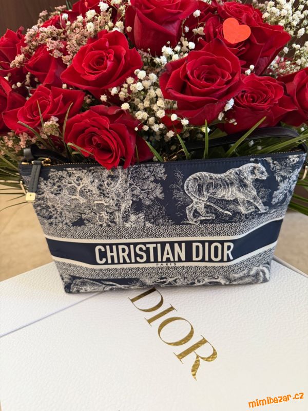 DiorTravel Pouch