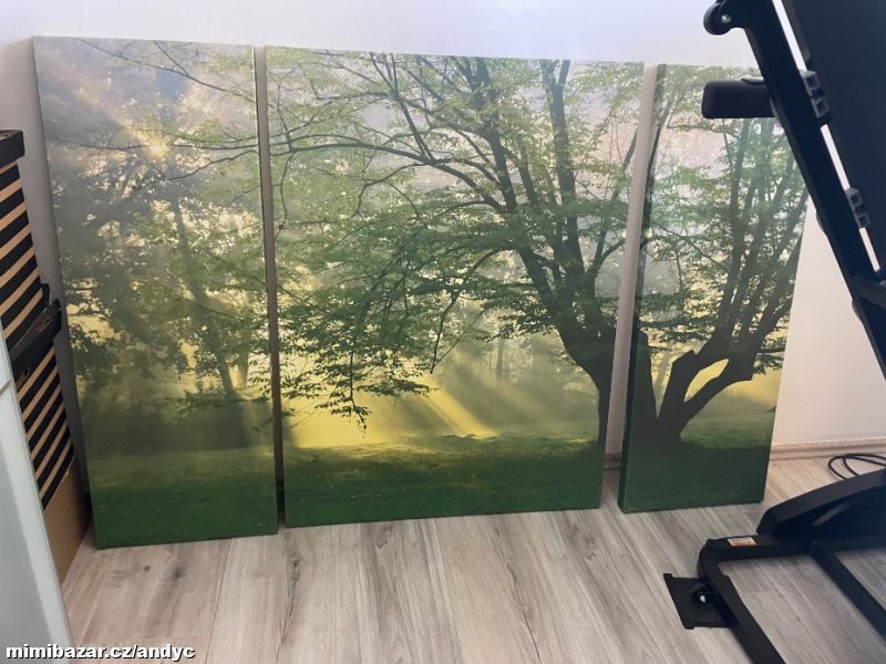 Next obraz vel 160x110 cm 3 dily