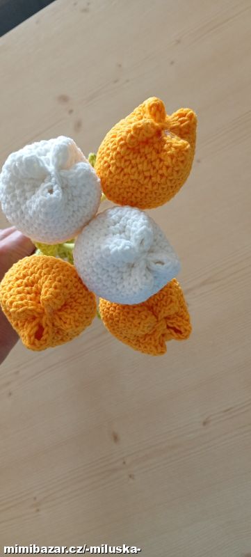 5x tulipán