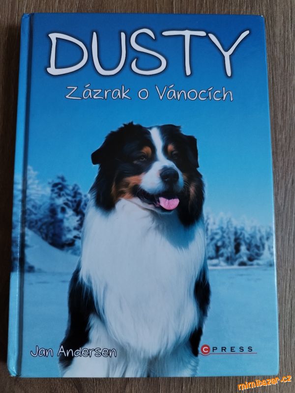 Dusty zázrak o Vánocích kniha čtivý příběh