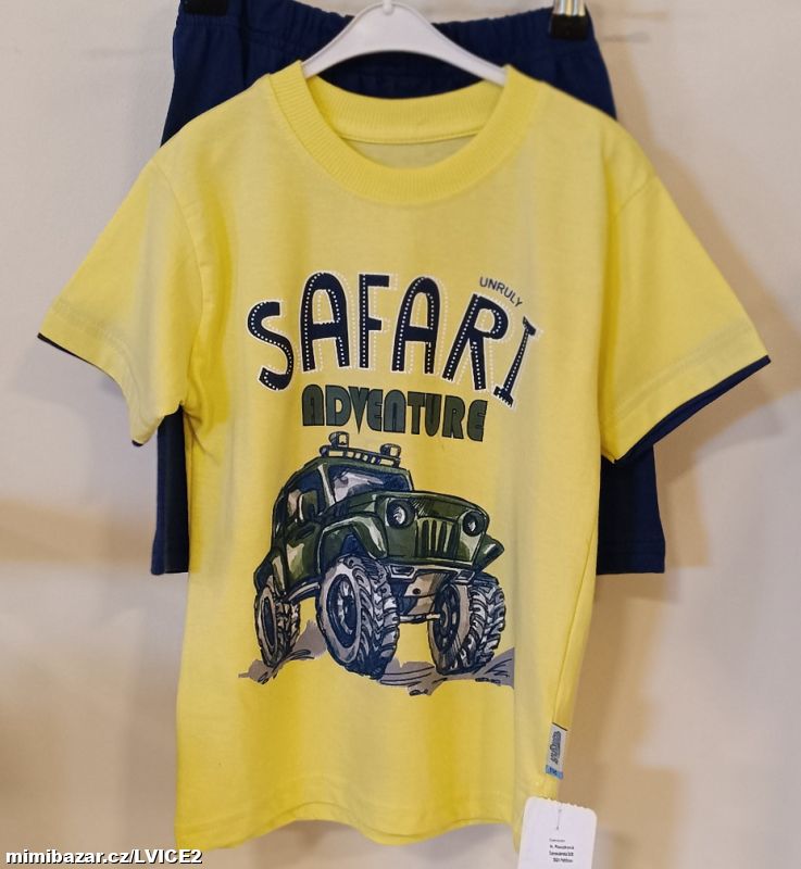 Tričko s krátkým rukávem , kraťasy DINO