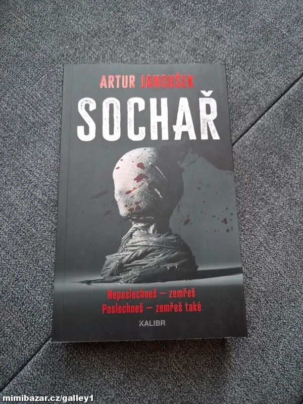 Artur Janoušek – Sochař