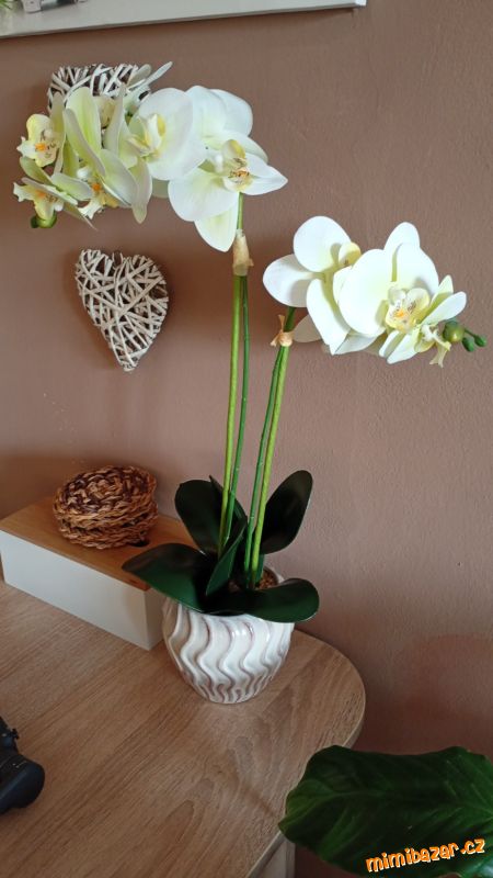 2ks umělých orchidejí 62 cm