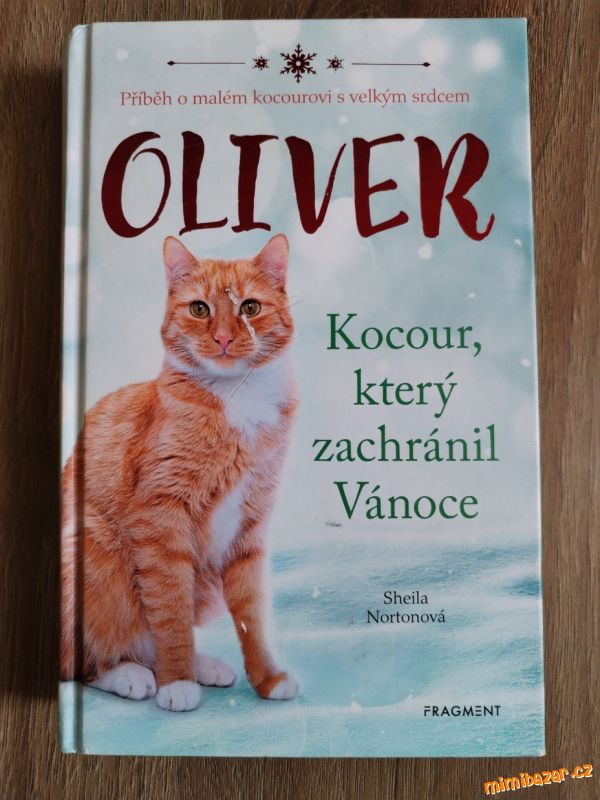 Dětská kniha Oliver:kocour, který zachránil Vánoce