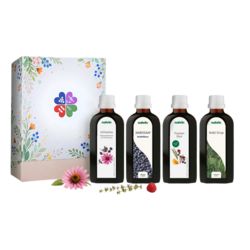 Wald sirup 100 ml, extraktem z pupenů borovice l