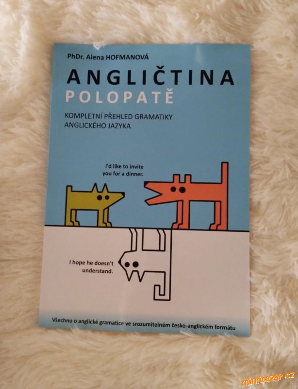 Učebnice , angličtina polopatě