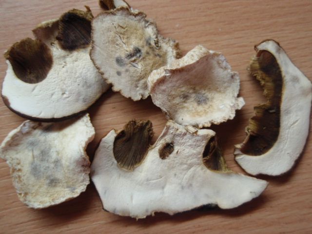Jak mají být Vysusene houby?