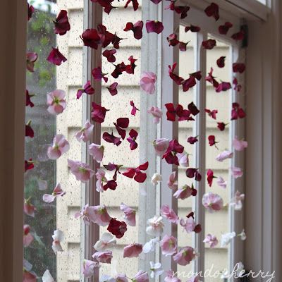 Jak a proč v létě zdobím okna a parapety