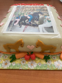 dort s jedlým papírem