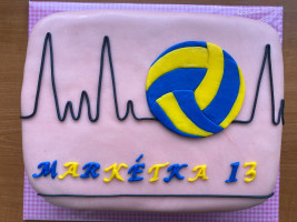 dort s volejbalovým motivem